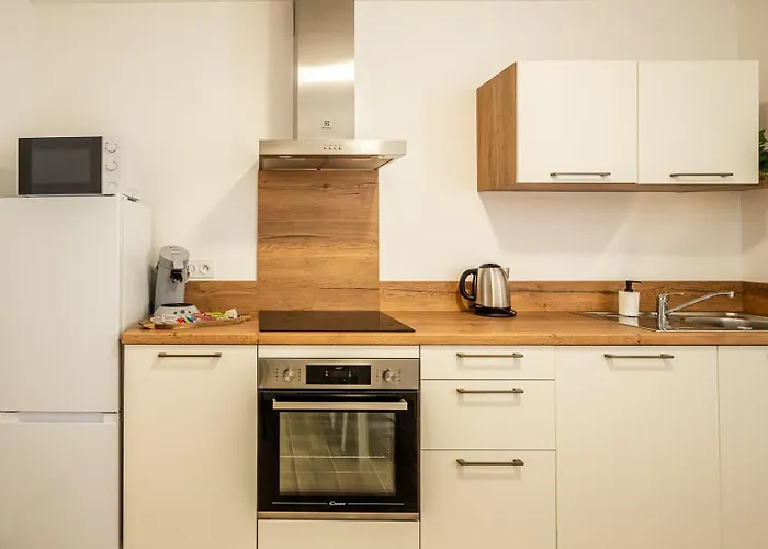 Le Trauquet ~ Cite Medievale ~ Arrivee Autonome Daire Carcassonne